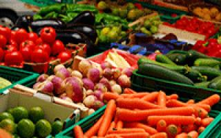 Бизнес-план теплицы по выращиванию овощей: превращаем хобби в источник прибыли
